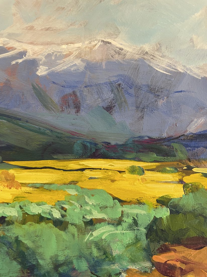 Detalle de Campos de colza, José González Mas