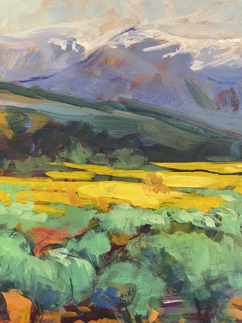 Detalle de Campos de colza, José González Mas