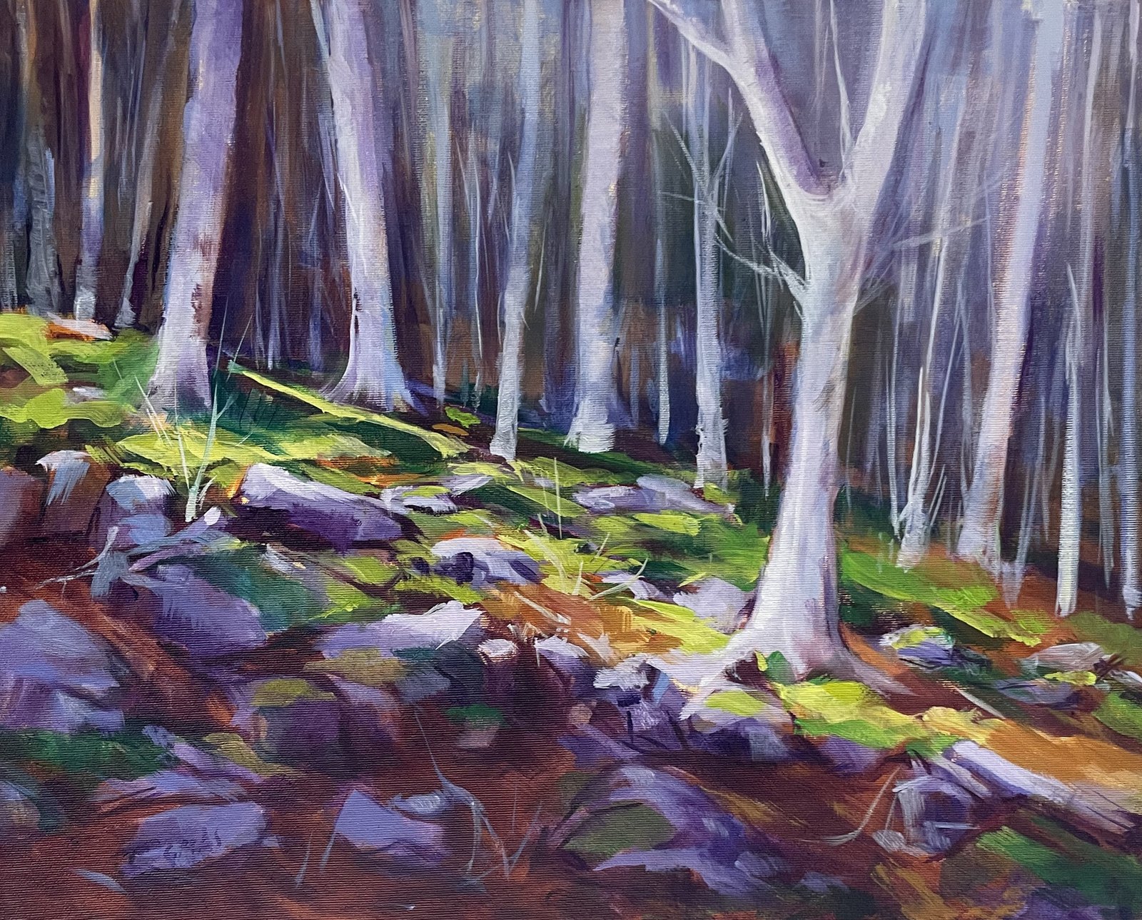 Hayas y rocas, obra de José González Mas, 41 × 33 cm