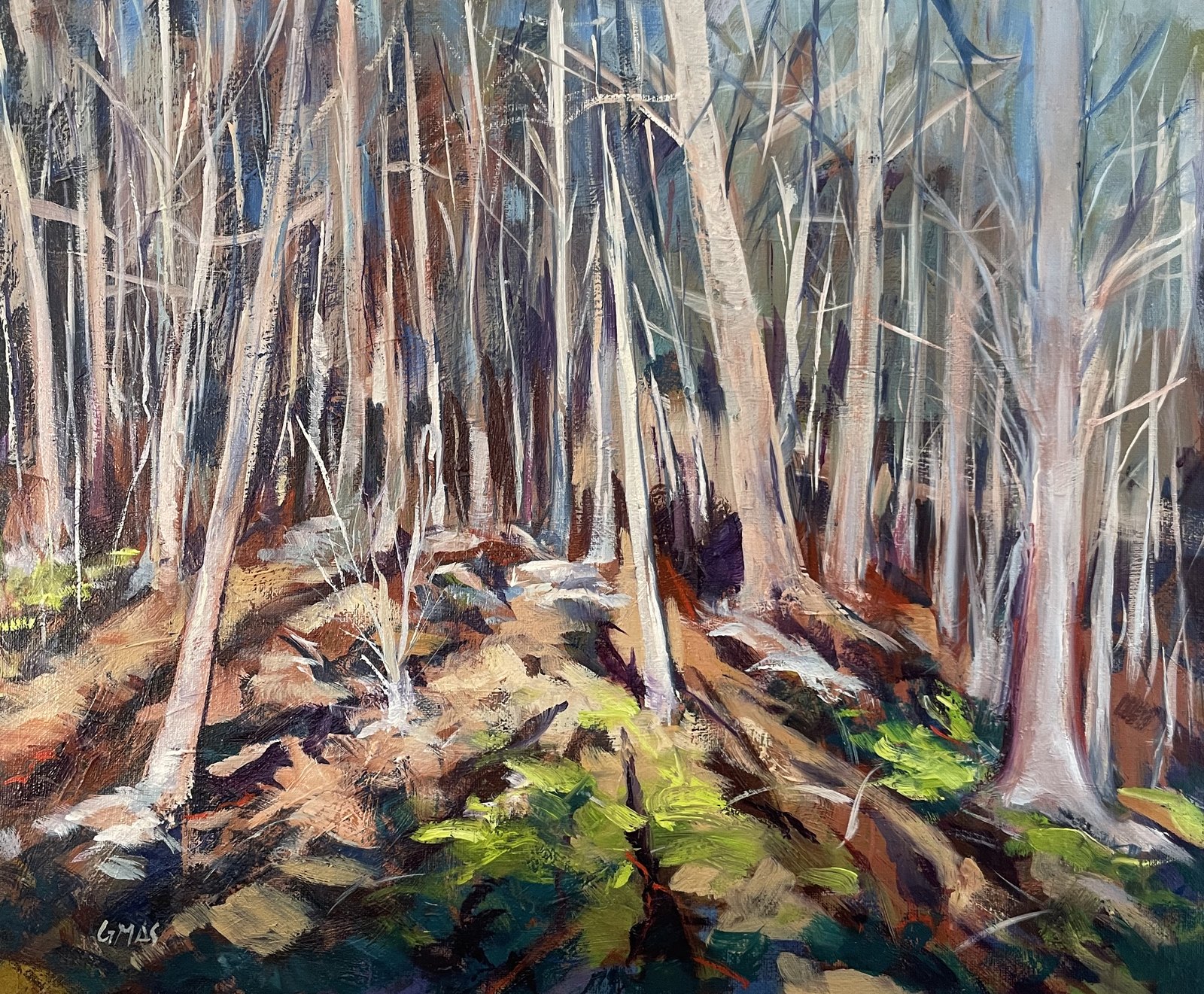 Sombras del hayedo, obra de José González Mas, 46 × 38 cm